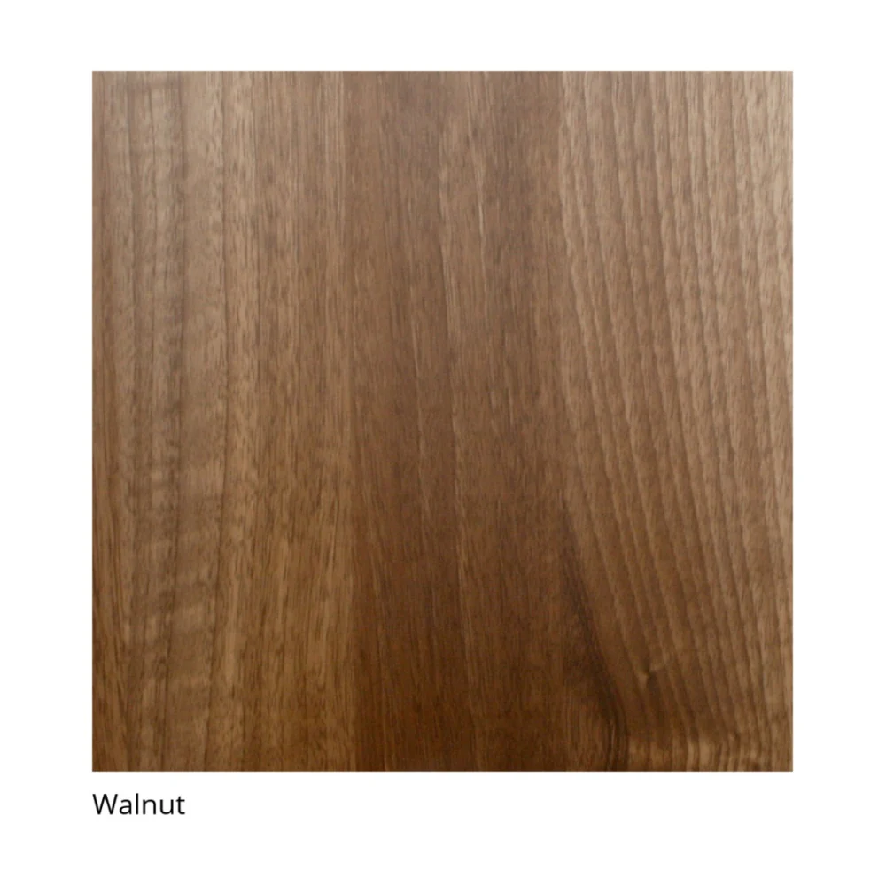 Scansonic HD L12 Series Subwoofer Home Speaker (Walnut) - Image 2
