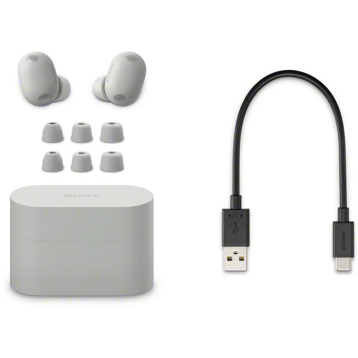 Sony WF-1000X M6 Truly Wireless Noise Cancelling Earbuds (Platinum Silver) - Image 6