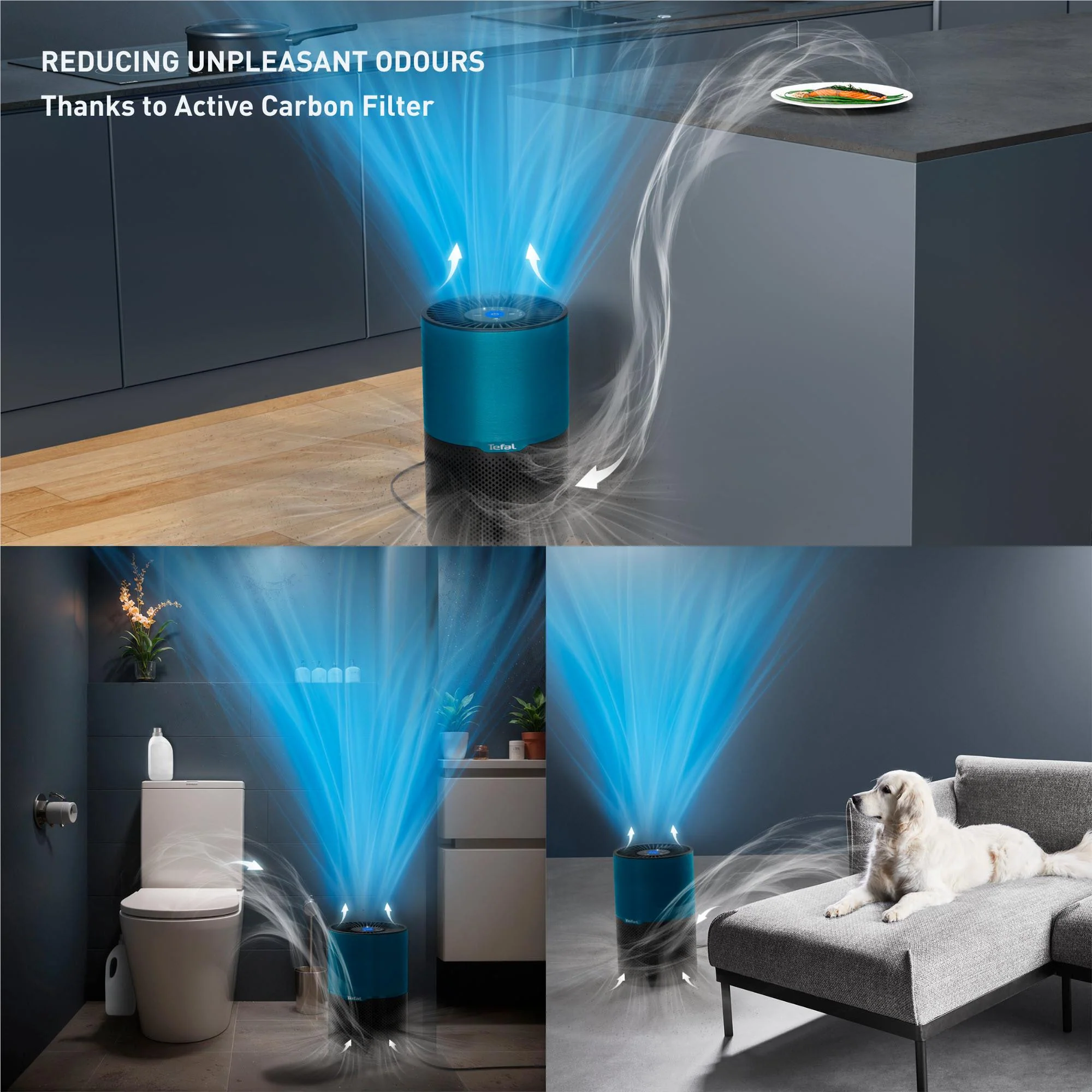 Tefal PT2221 Pure Air Compact Air Purifier - Image 7