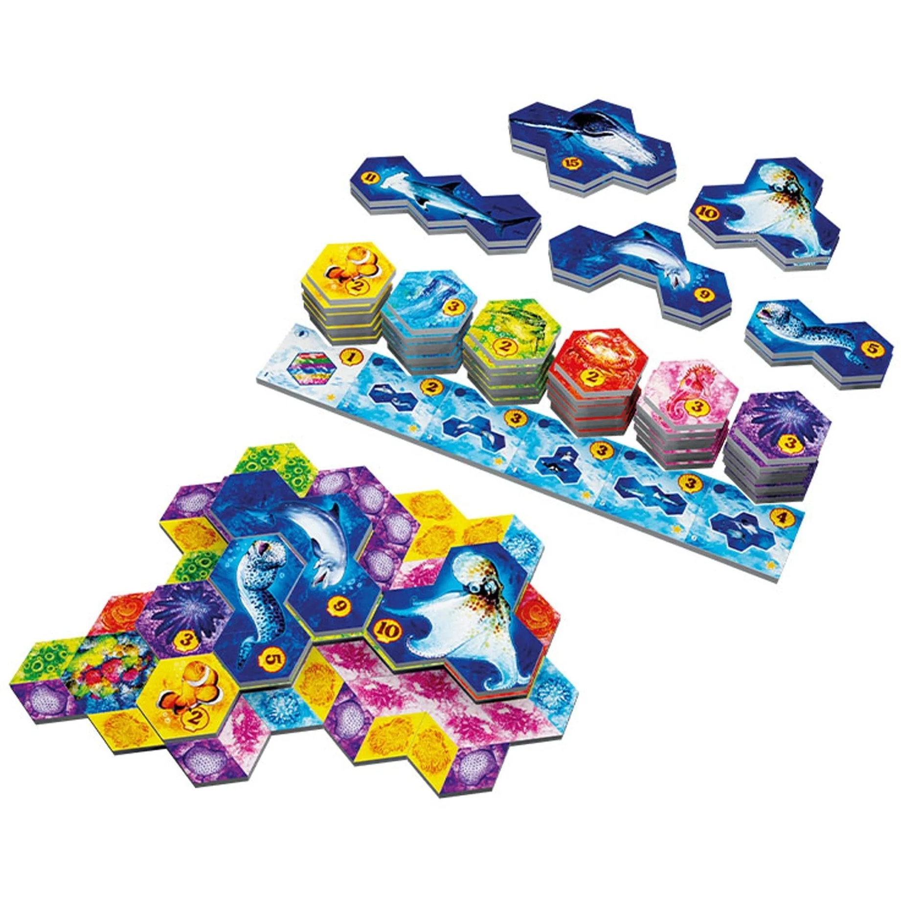 The Op AQUA Game - Image 3