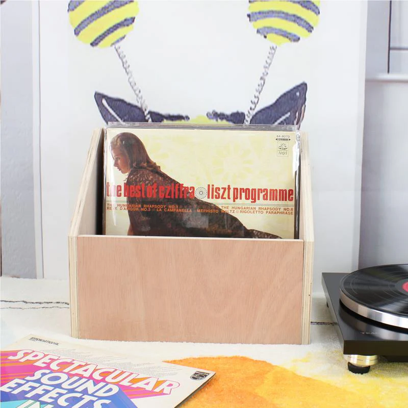Flea Market - Slant Plywood Vinyl Storage - Image 6