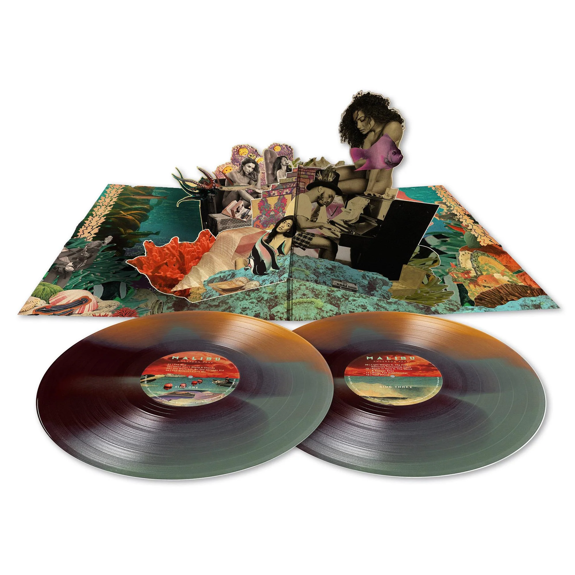 Malibu (10th Anniversary Edition Colour Vinyl) - Image 2