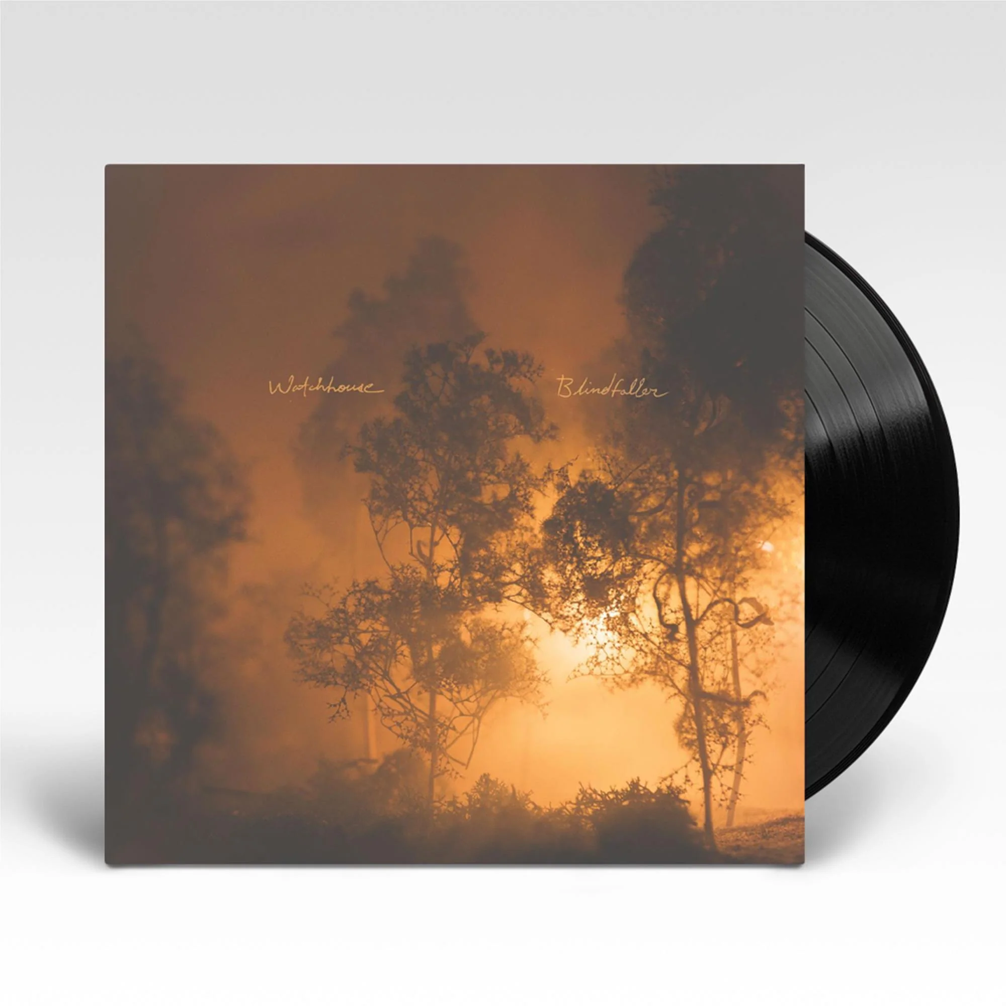 Blindfaller (Vinyl)