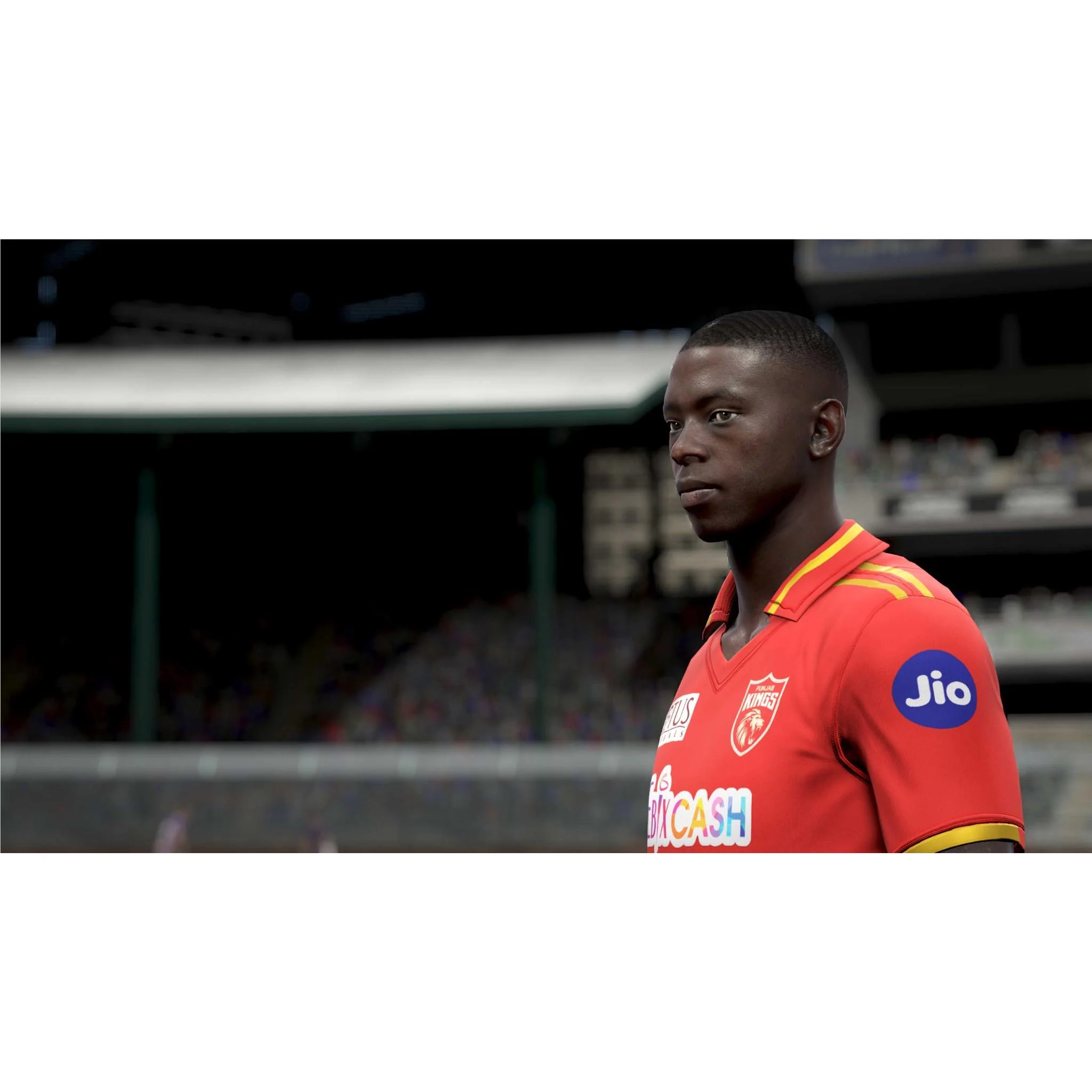 Cricket 24 - Image 4