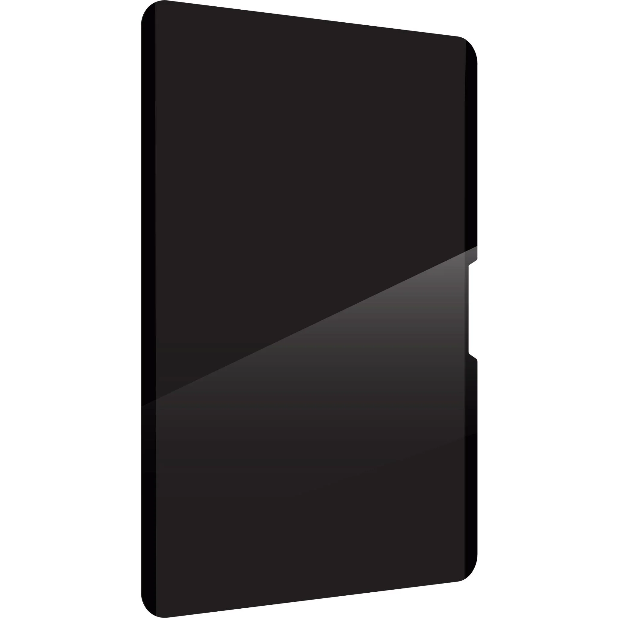 ZAGG Removable 4-Way Privacy Filter for Apple iPad Pro 11" (M5/M4) & iPad Air 13” (M4/M3/M2) - Image 2